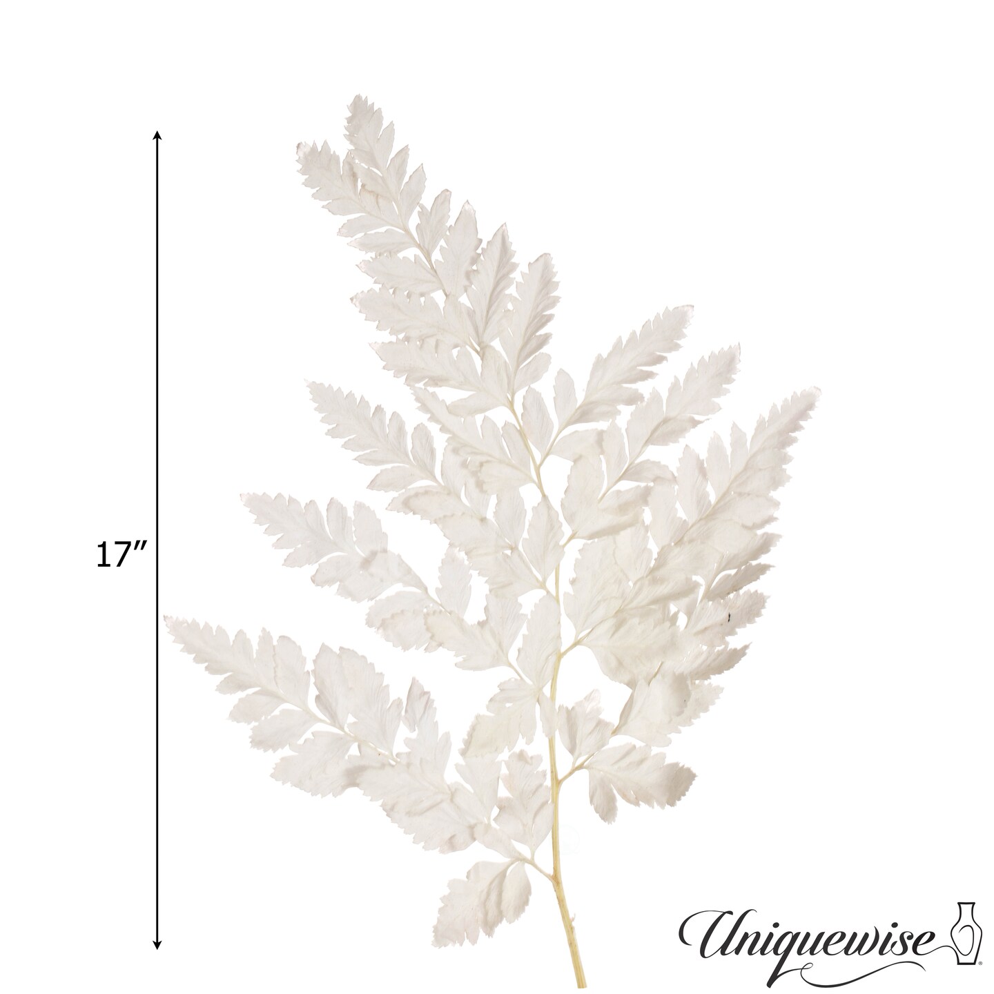 Uniquewise Preserved Real Floral Stems Chic Vase Fillers & Accents for Bouquets Centerpieces & Ornamental Displays Ideal for Home Office Boutique Cafe Resto Bar and Event Decor
