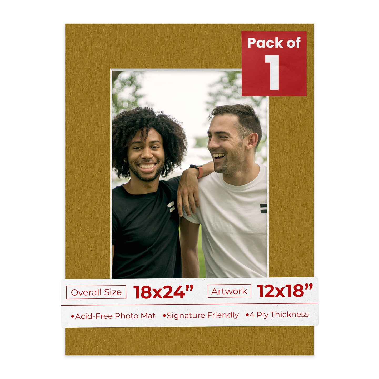 Metallic Gold Mat Board for 18x24 Frames - Fits 12x18 Photos, Color ...