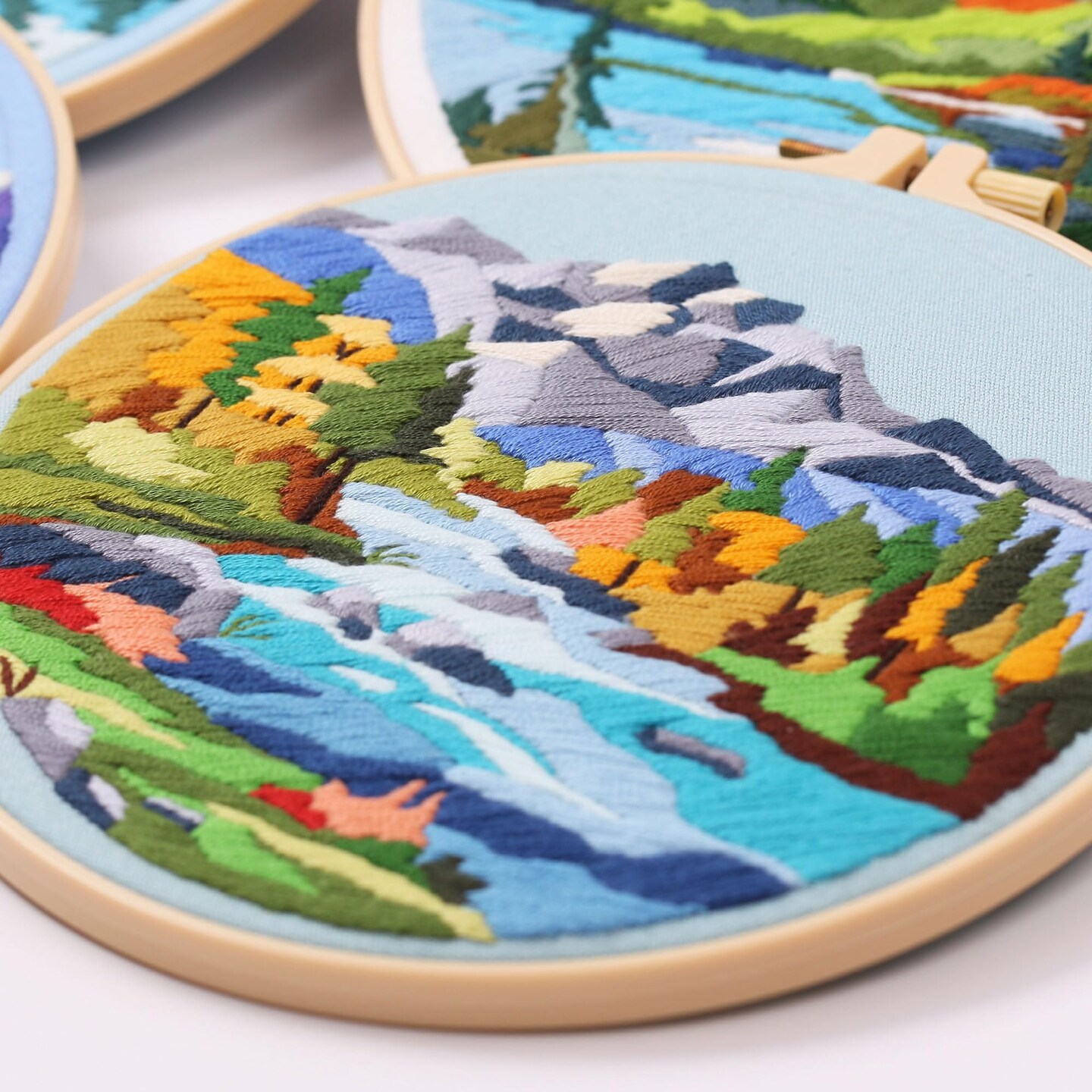 4P Beginner Embroidery Kit,Floral Plant Pattern,Cross Stitch Kits, Including Stamped Embroidery Cloth with 2 Embroidery Hoops, Color Threads and Embroidery Kits