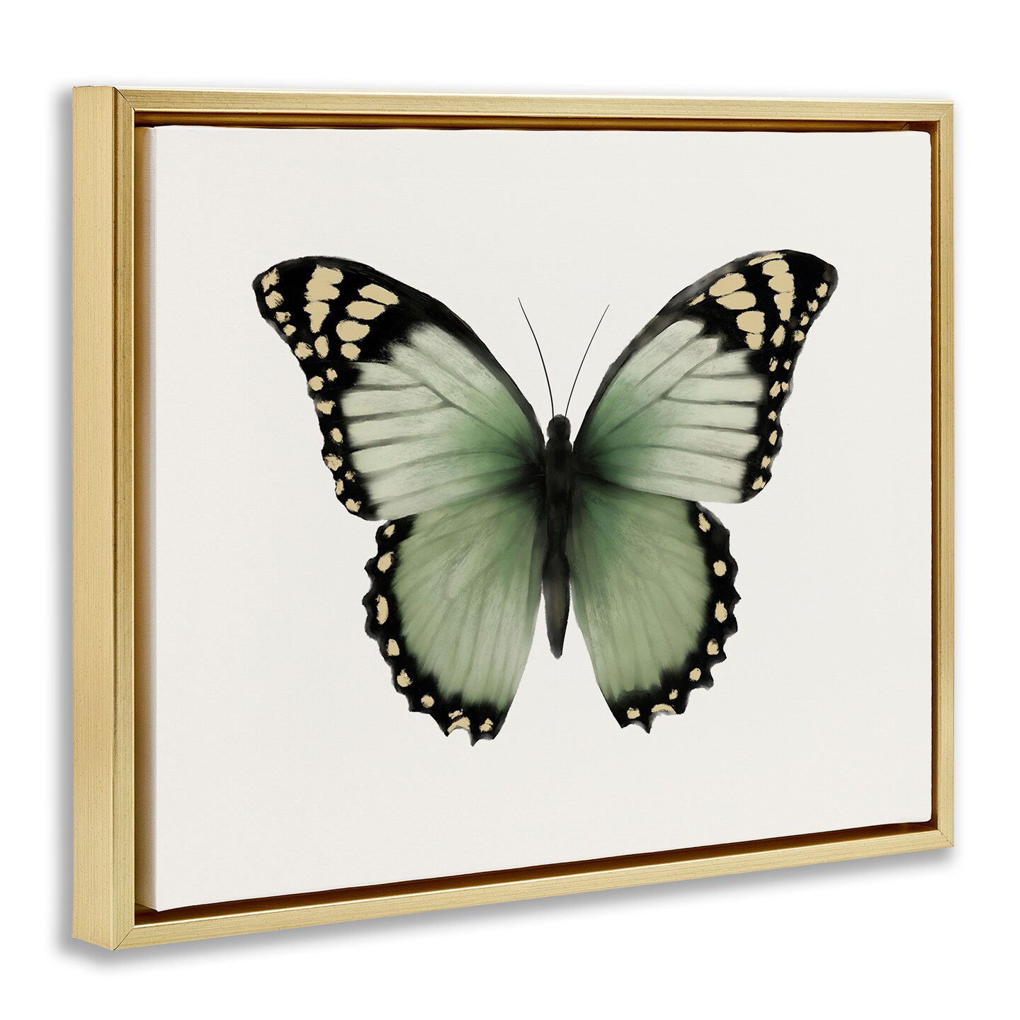Stupell Industries Green Symmetrical Butterfly Framed Floater Canvas Wall Art Design by Elizabeth Medley