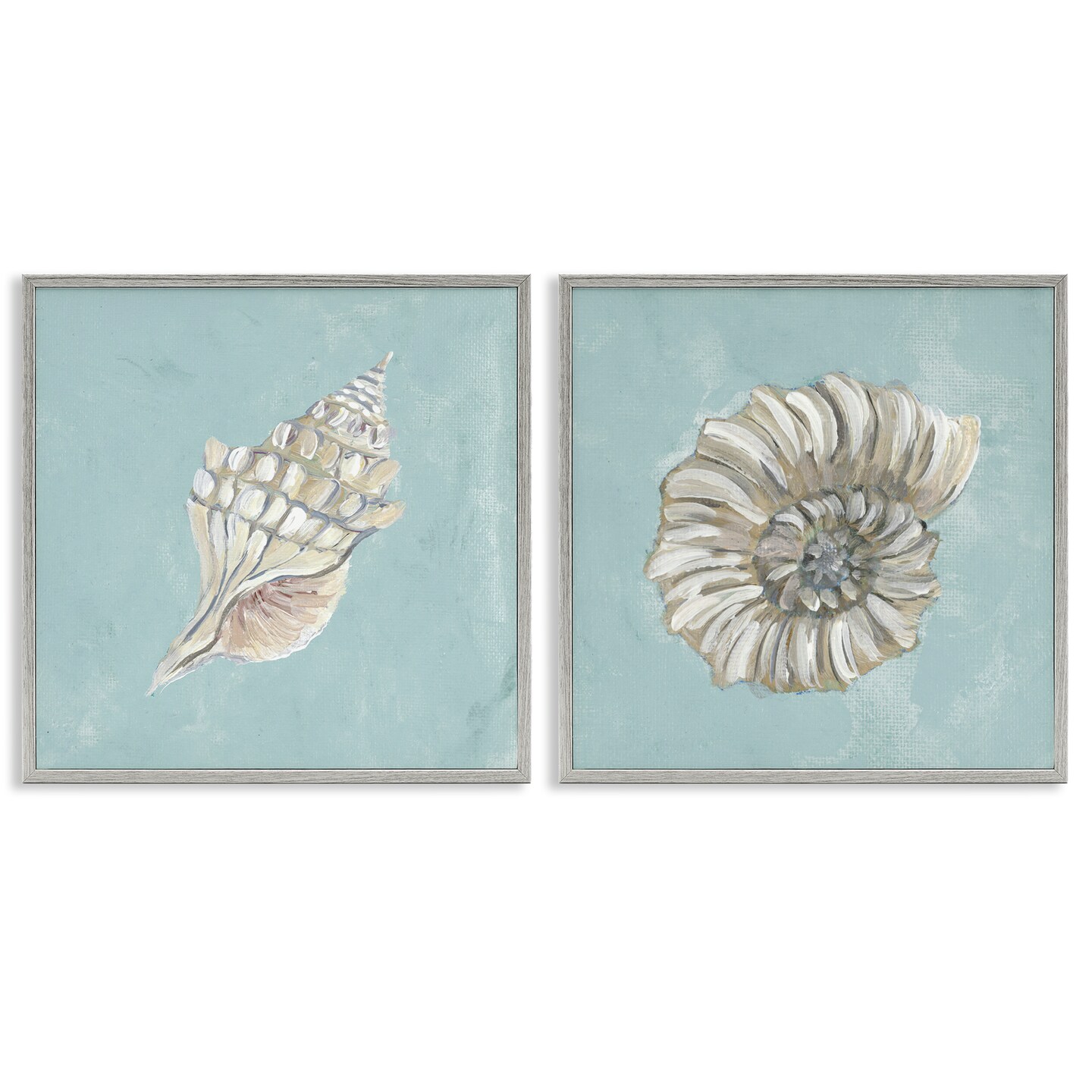 Stupell Industries Nautilus and Conch Seashells 2 pc Framed Giclee Wall Art Set Design by Julie Derice