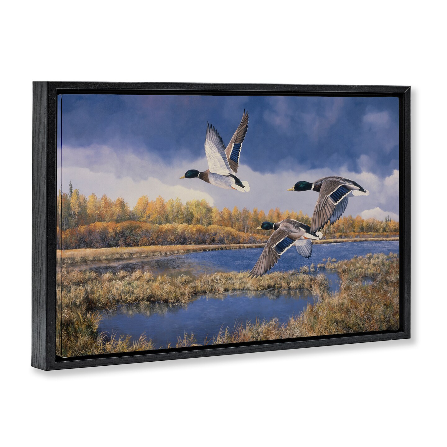 Stupell Industries Ducks Heading South Framed Floater Canvas Wall Art Design by Andrew Kiss