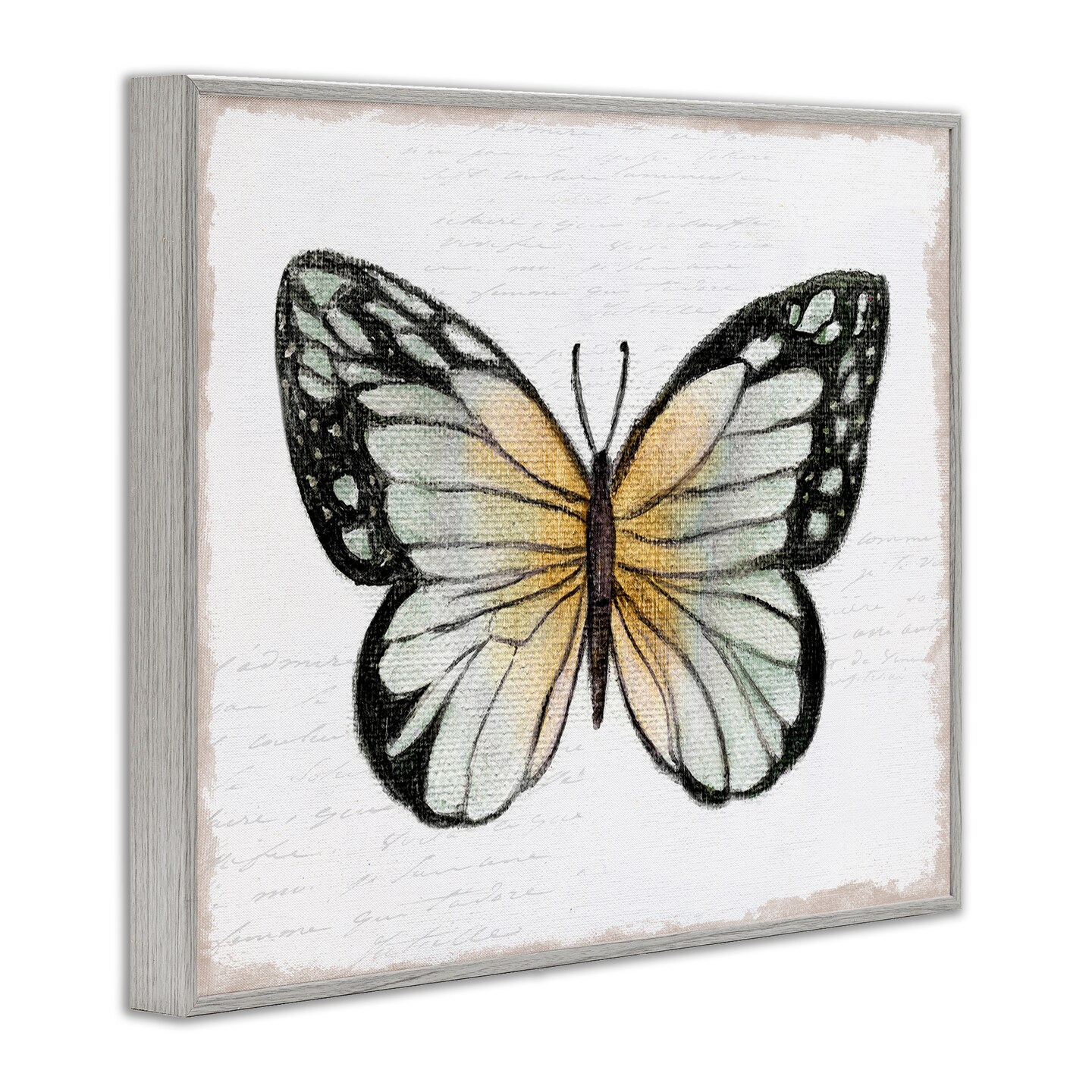 Stupell Industries Monarch Butterfly Visage Framed Giclee Wall Art Design by Janet Tava