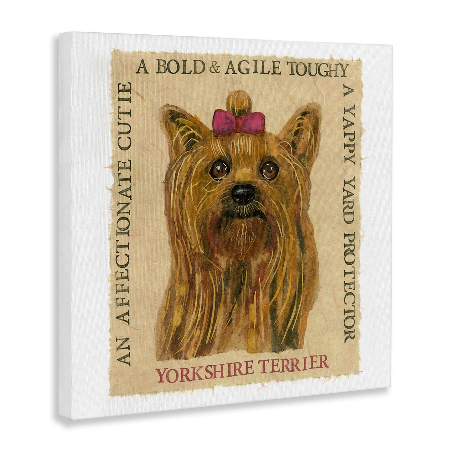 Stupell Industries Fun Yorkshire Terrier Phrases Canvas Wall Art Design by Nancy Overton