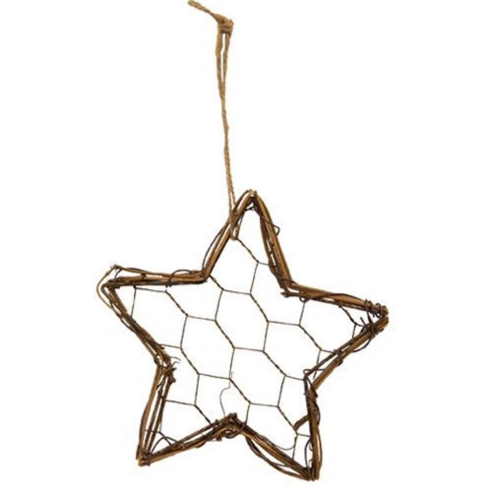 Grapevine &#x26; Chicken Wire Star 4&#x22;