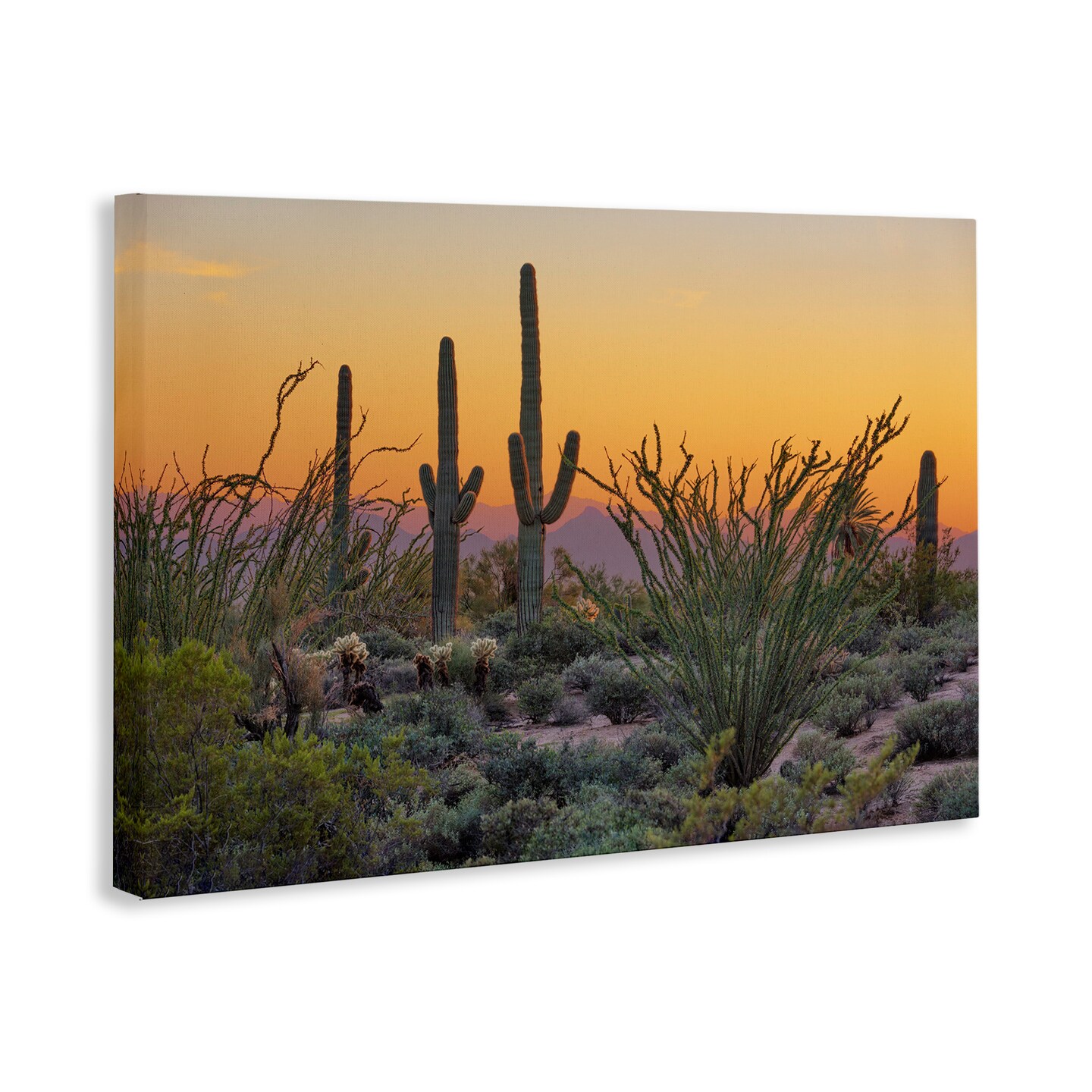 Stupell Industries Sunset Desertscape Cacti Canvas Wall Art Design by Marty Hulsebos