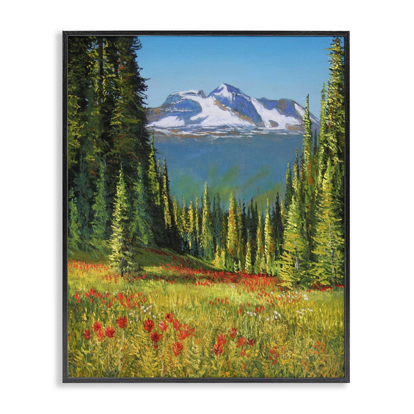 Stupell Industries Alpine Valley Meadow Framed Giclee Wall Art Design by Andrew Kiss