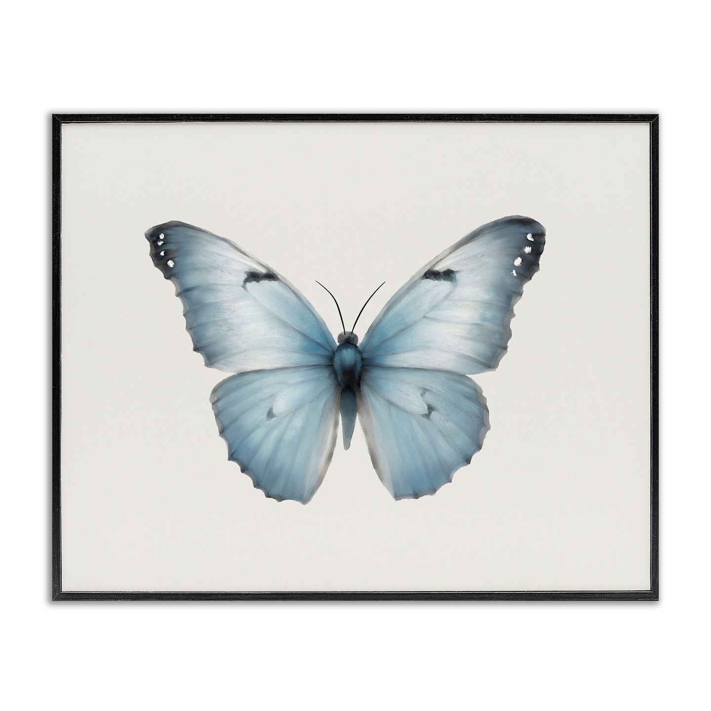 Stupell Industries Blue Symmetrical Butterfly Framed Giclee Wall Art Design by Elizabeth Medley