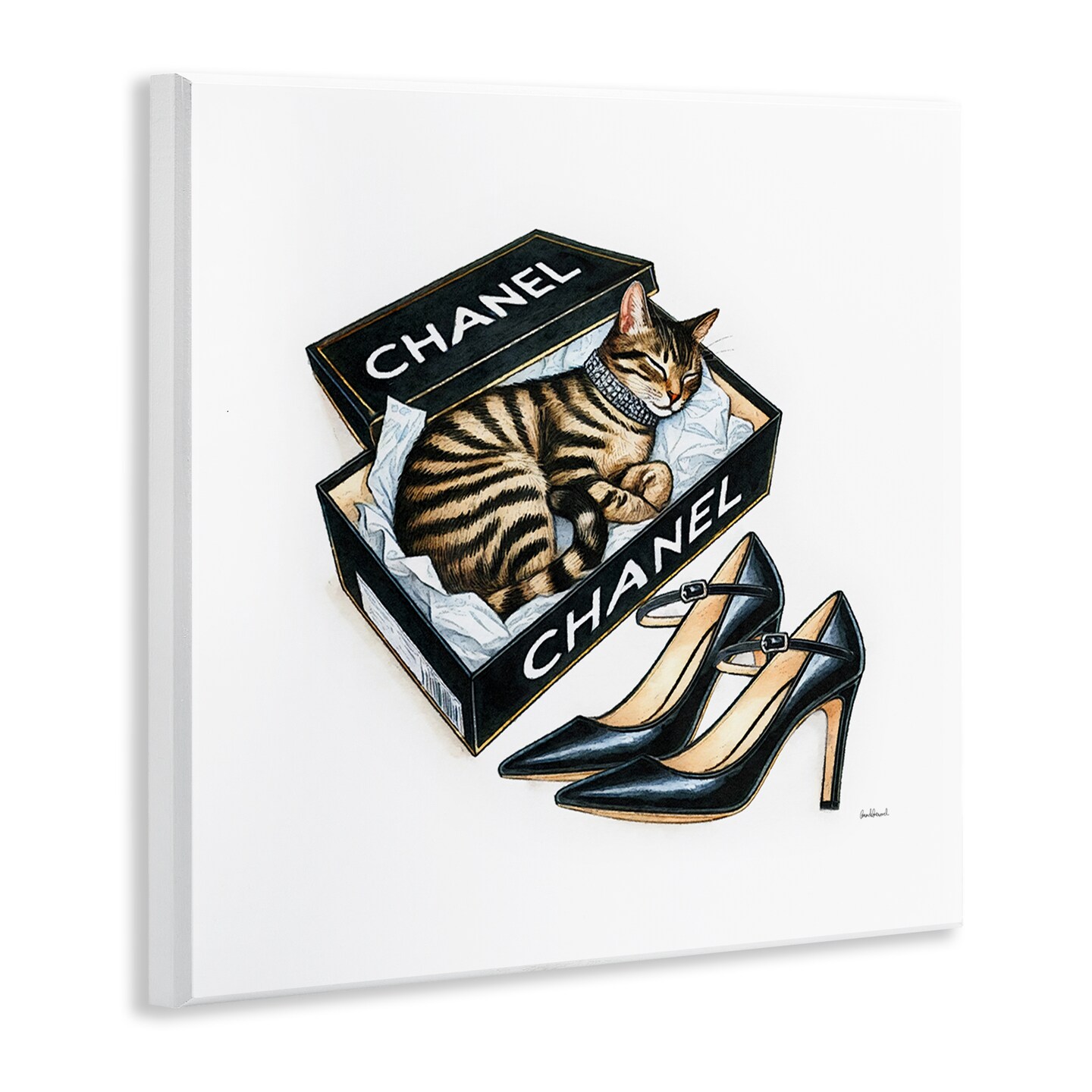 Stupell Industries Sleeping Cat in Shoe Box Wall Plaque Art Design by Amanda Greenwood
