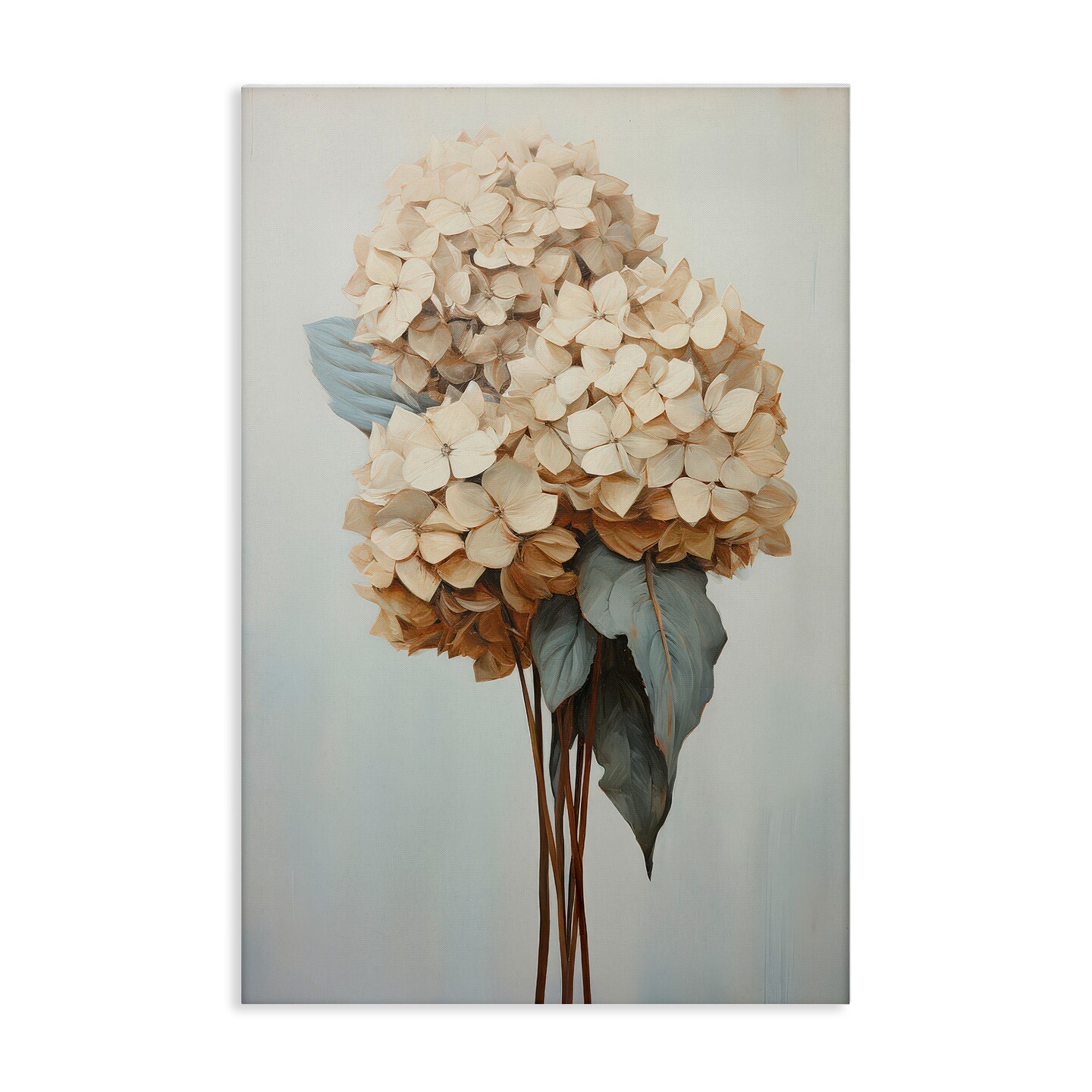 Stupell Industries Vintage Hydrangea Florets Canvas Wall Art Design by Petals Prints Design