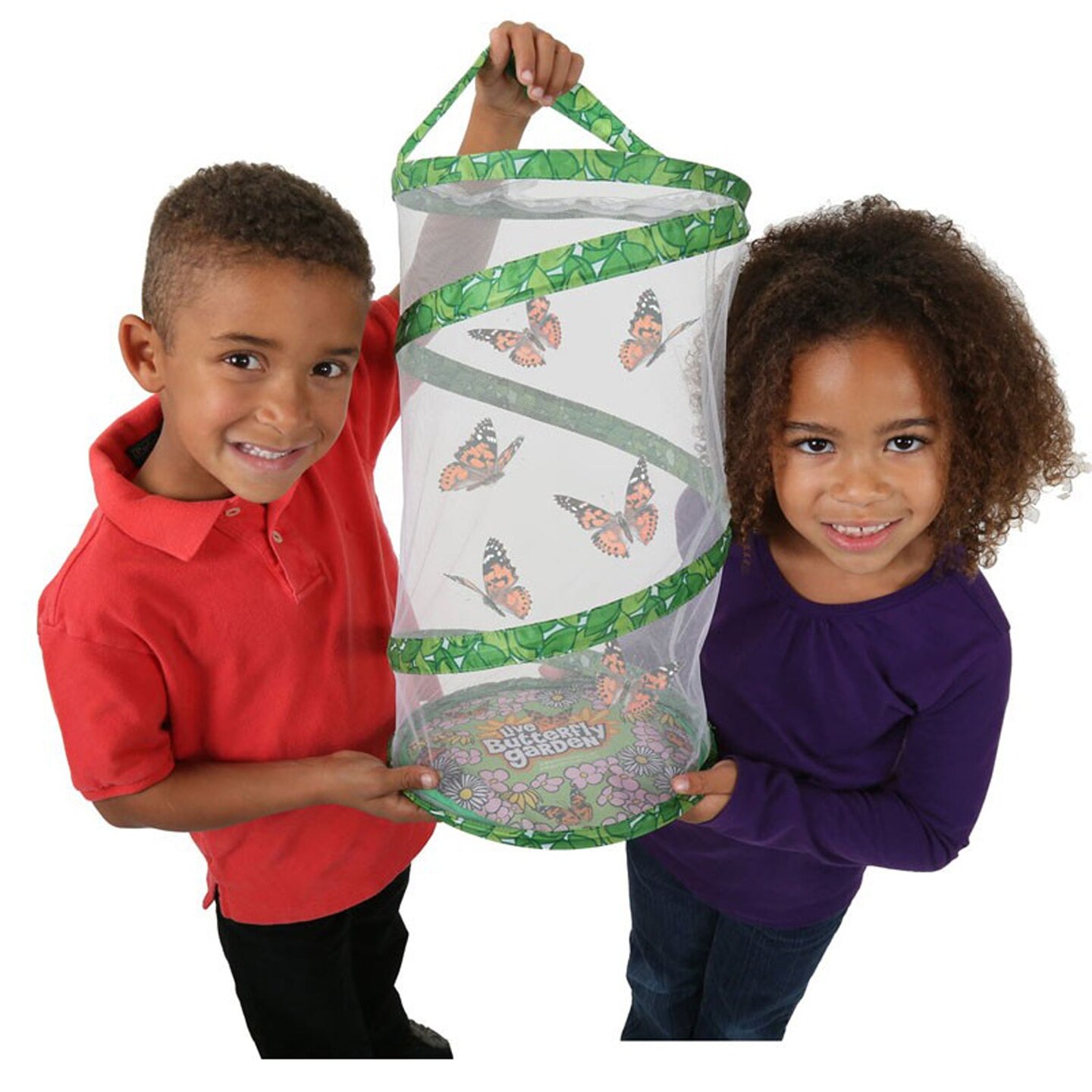 Giant Butterfly Garden&#xAE; Deluxe Growing Kit