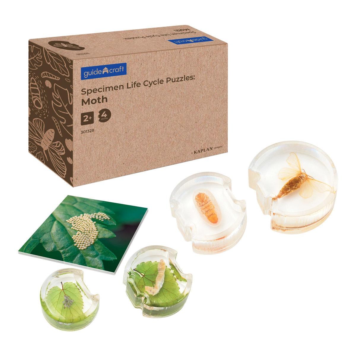 Kaplan Early Learning Company Specimen Life Cycle Puzzles: Moth