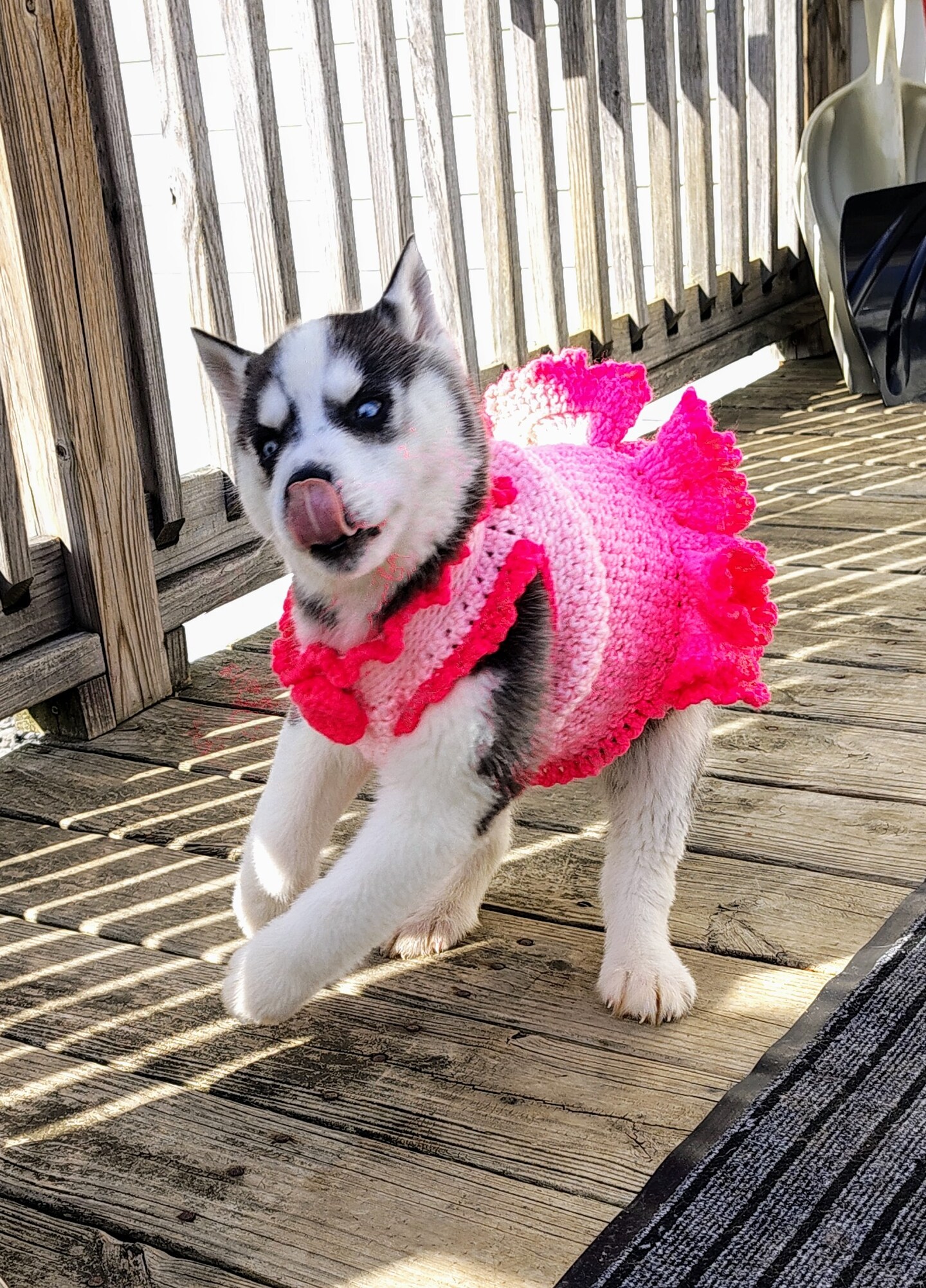 Small Pink Dog Sweater MakerPlace by Michaels