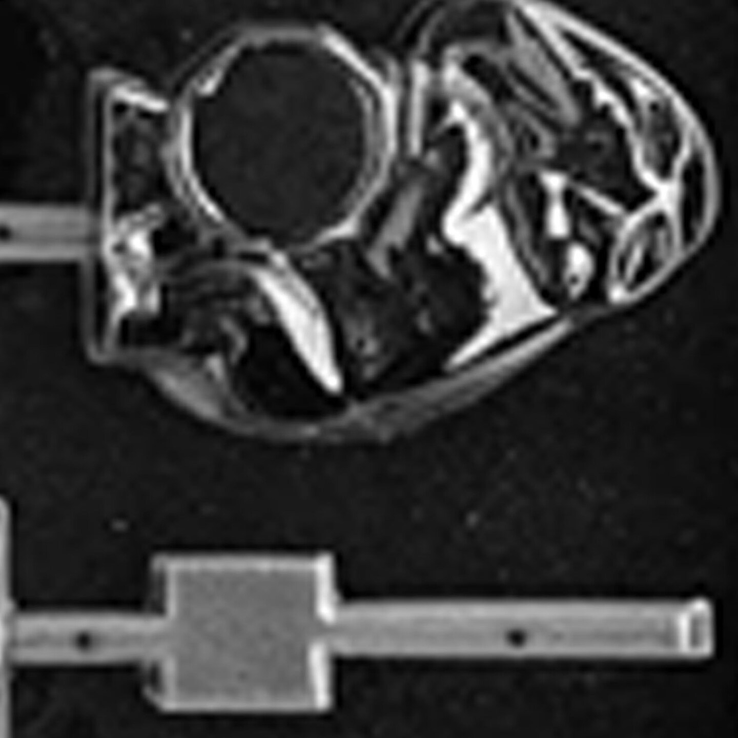 Elephant on a Drum Lollipop Mold