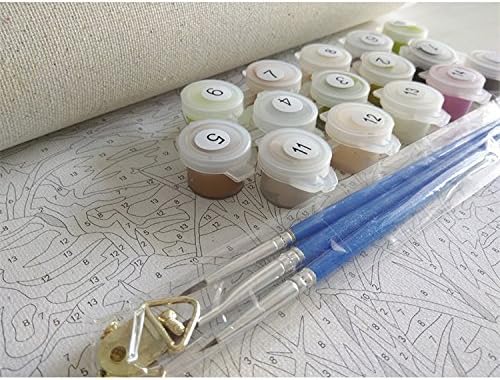 DIY Oil Painting Paintworks Paint by Number for Kids and Adults (16&#x27;&#x27;Wx20&#x27;&#x27;L , Peony Flower)