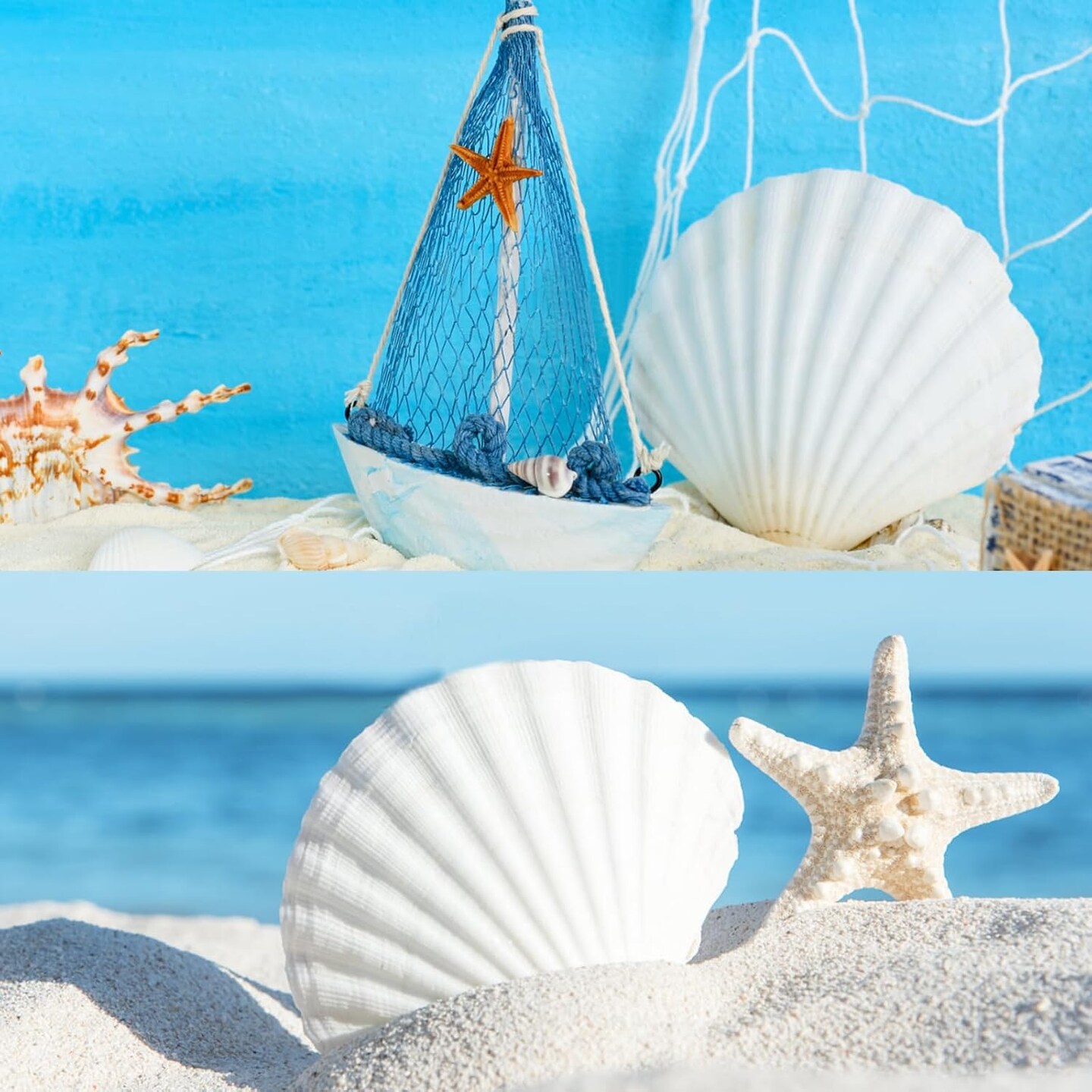 10 PCS Scallop Shells Natural Seashell, 4" to 5" White Scallop Shells Large Seashells for Crafts Wedding Decor Beach Theme Party, Fish Tank and Vase Filler