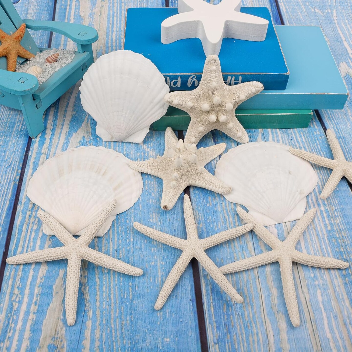 15 PCS Starfish and Scallop Shells, 2&#x22;-4&#x22; Natural Seashells White Seashells Large Seashells for Crafts Wedding Decor Beach Theme Party, Fish Tank and Vase Filler