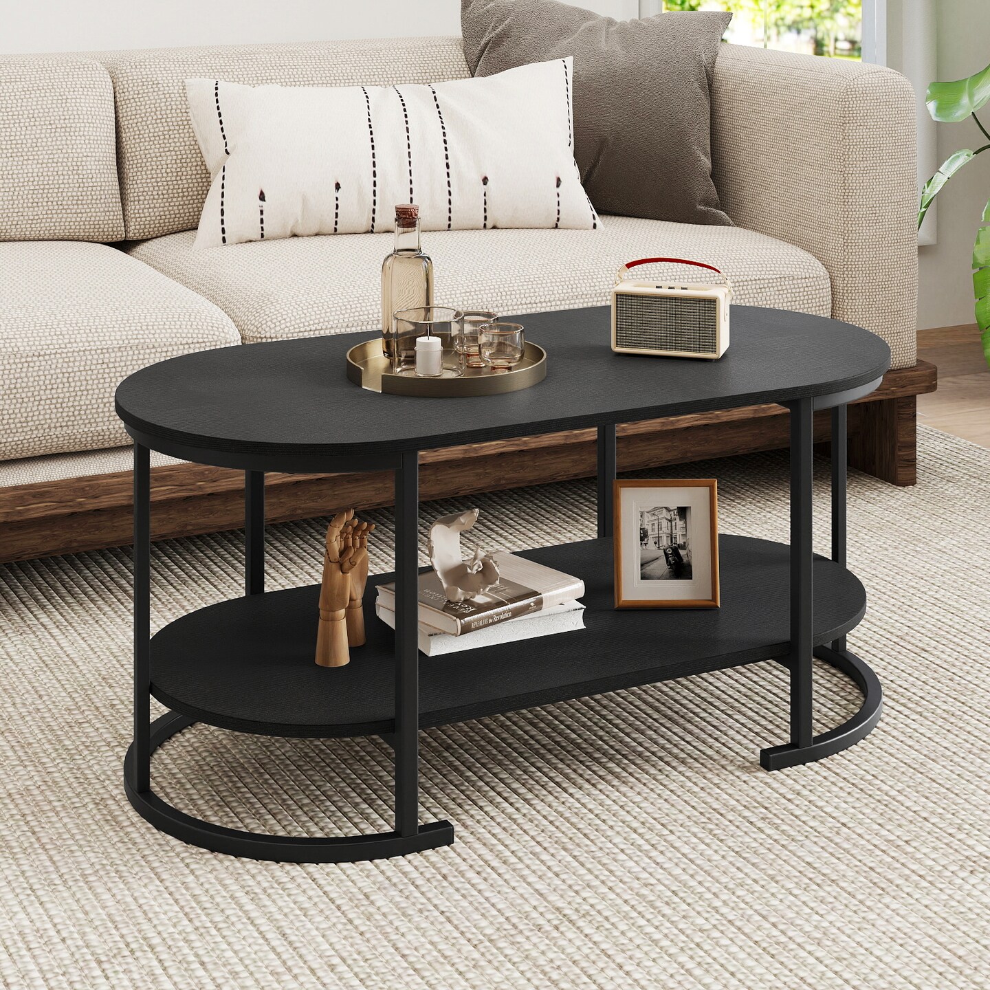 2-Tier Coffee Table Metal Frame Engineered Board Storage Shelf