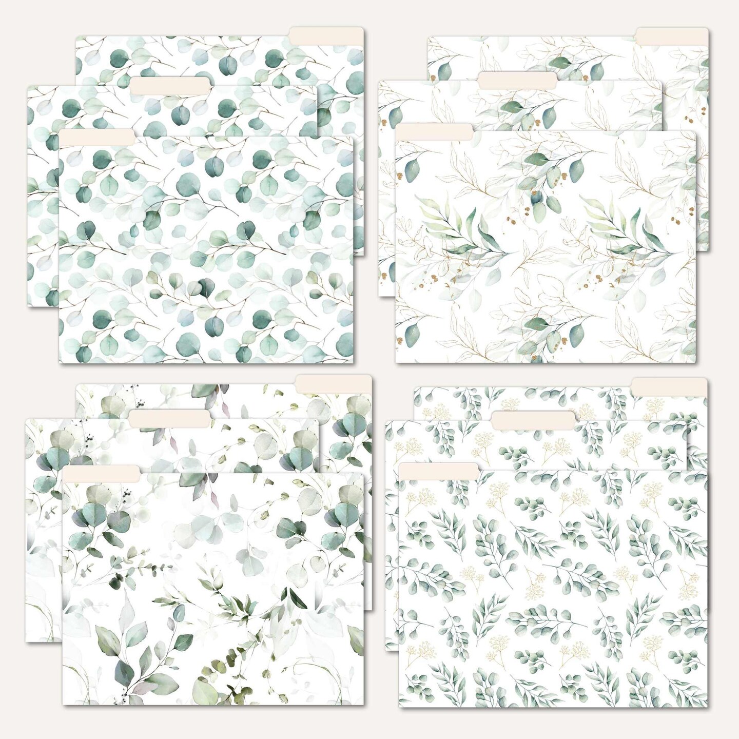 bloom daily planners Eucalyptus File Folder Set 12 Pack Letter Size