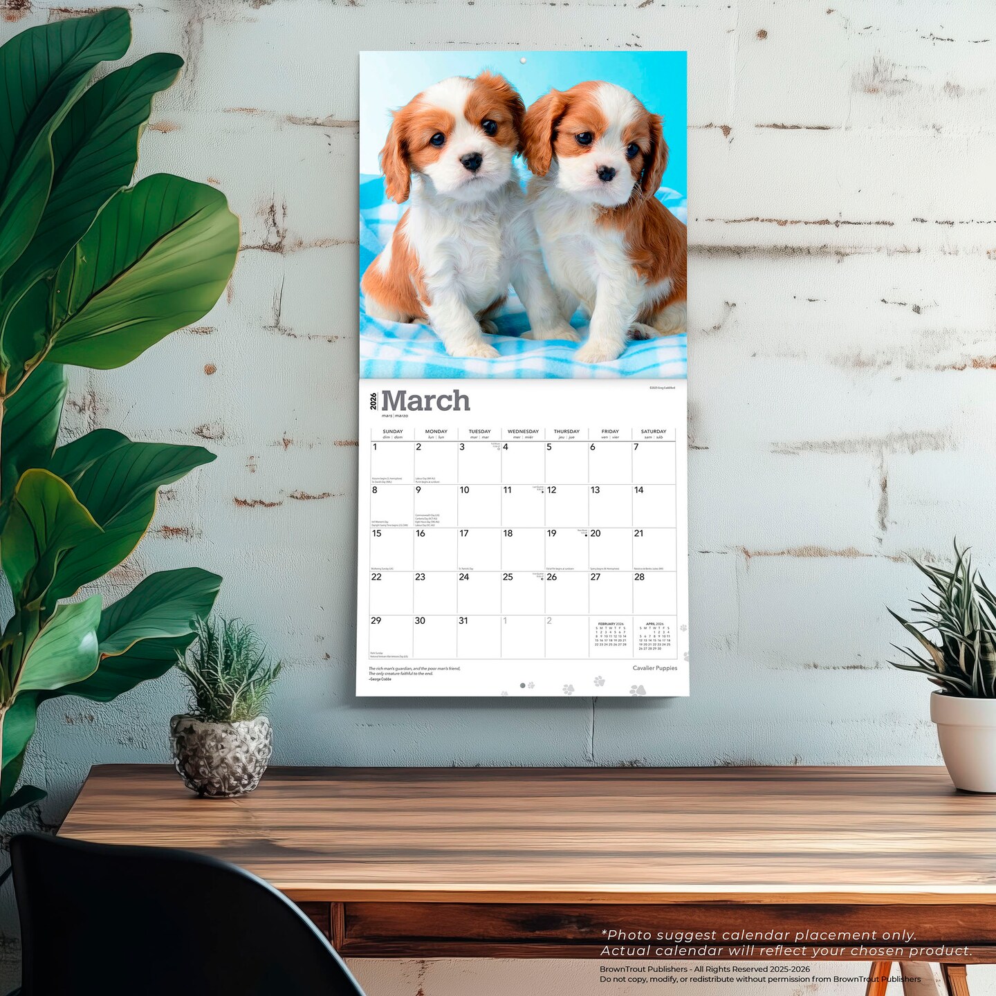Cavalier King Charles Spaniel Puppies | 2026 12 x 24 Inch (Hanging) Monthly Square Wall Calendar | Plastic-Free