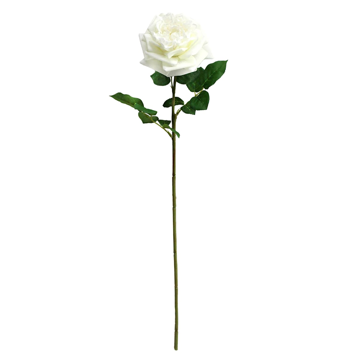 25.6&#x22; Real Toch White Rose Artificial Flower Stem