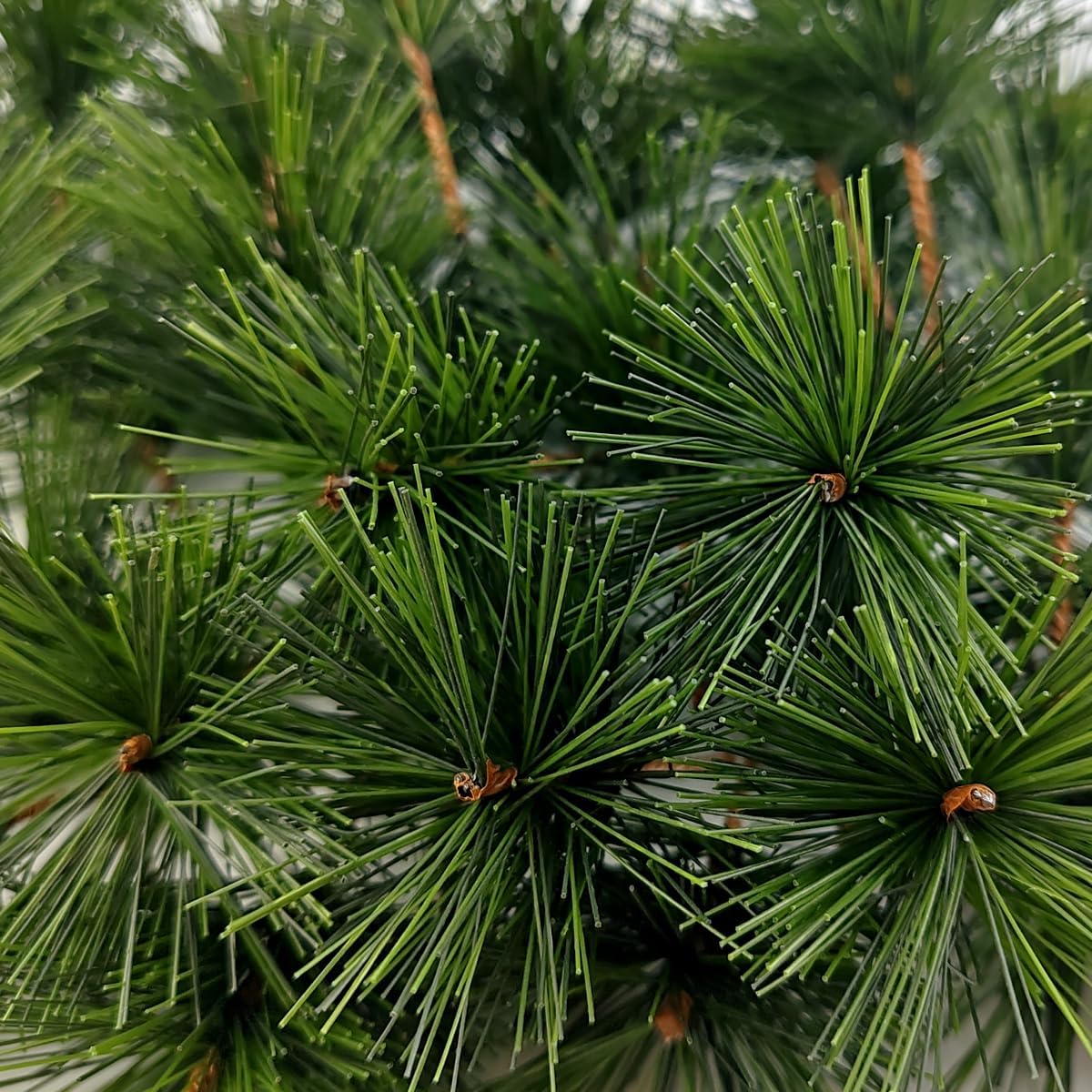 62PCS Artificial Green Pine Needles Branches Stems (Green) 0.02"D x 0.02"W x 0.02"H