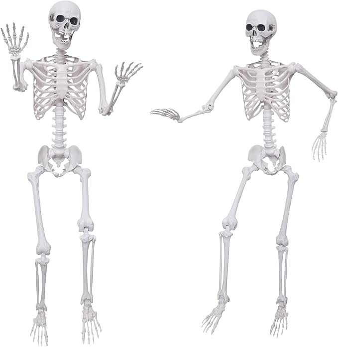 2Pack 5.4Ft Life Size Skeletons Posable Skeletons Full Size Plastic Human Skeleton with Movable Joint for Halloween Outdoor Indoor Decorations