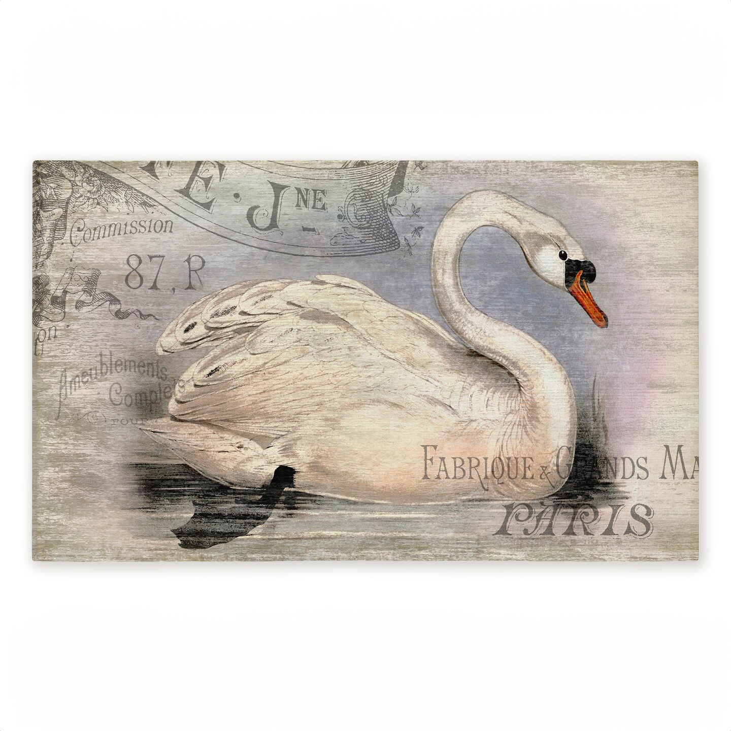 Stupell Industries French Swan Vintage Motif Printed Outdoor Door Mat, design by Suzanne Nicoll, 18"x30"