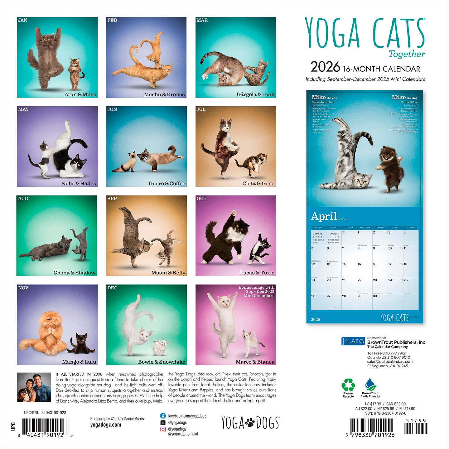Yoga Cats Together OFFICIAL | 2026 12 x 24 Inch (Hanging) Monthly Square Wall Calendar