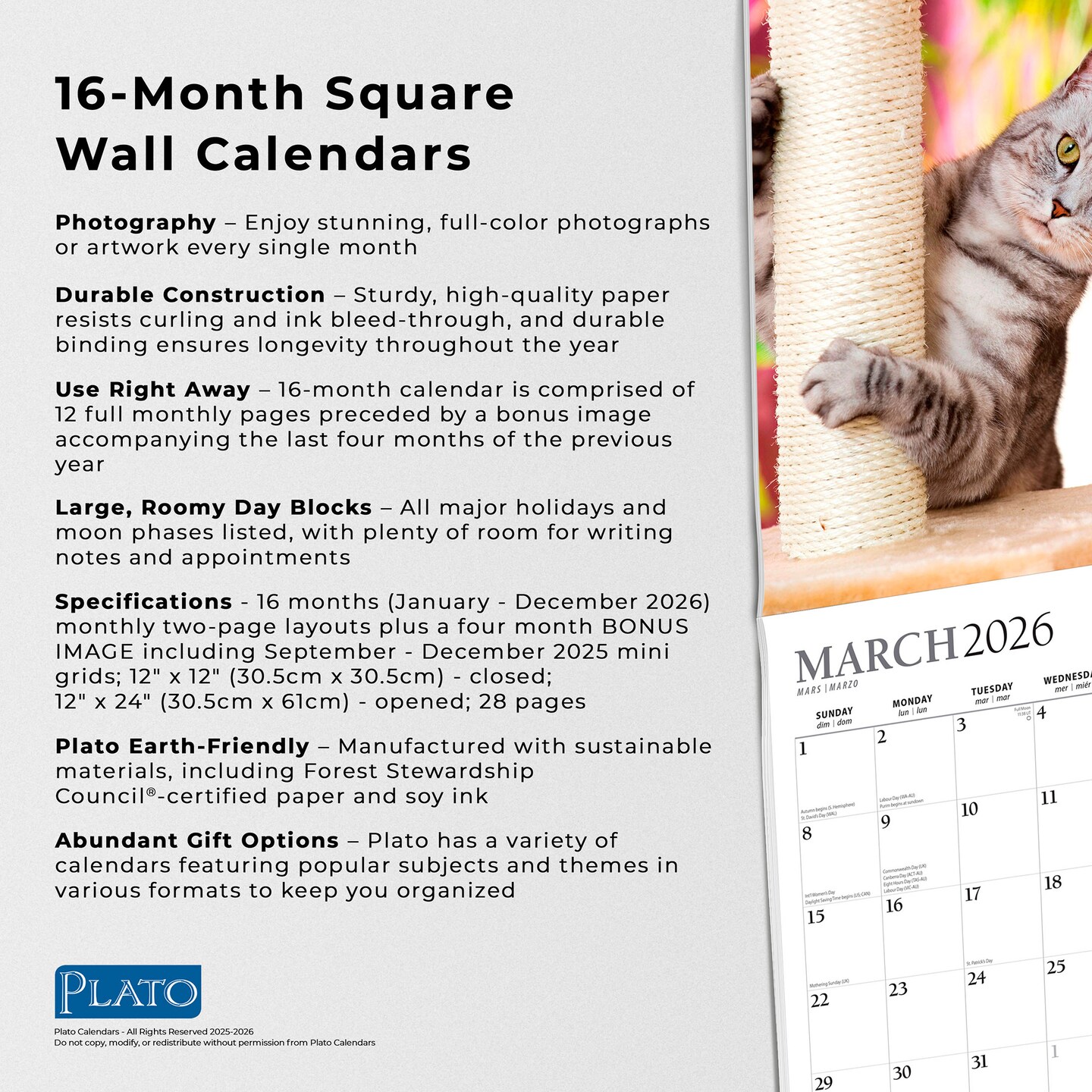 I Love Cats | 2026 12 x 24 Inch (Hanging) Monthly Square Wall Calendar | Foil Stamped Cover