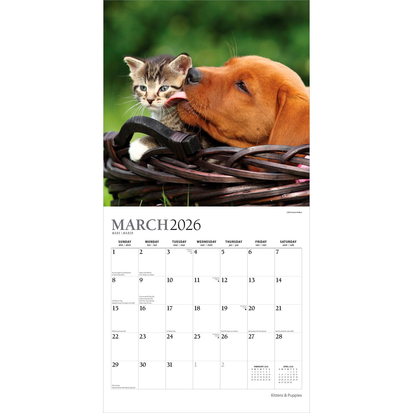 Kittens &#x26; Puppies | 2026 12 x 24 Inch (Hanging) Monthly Square Wall Calendar | Foil Stamped Cover