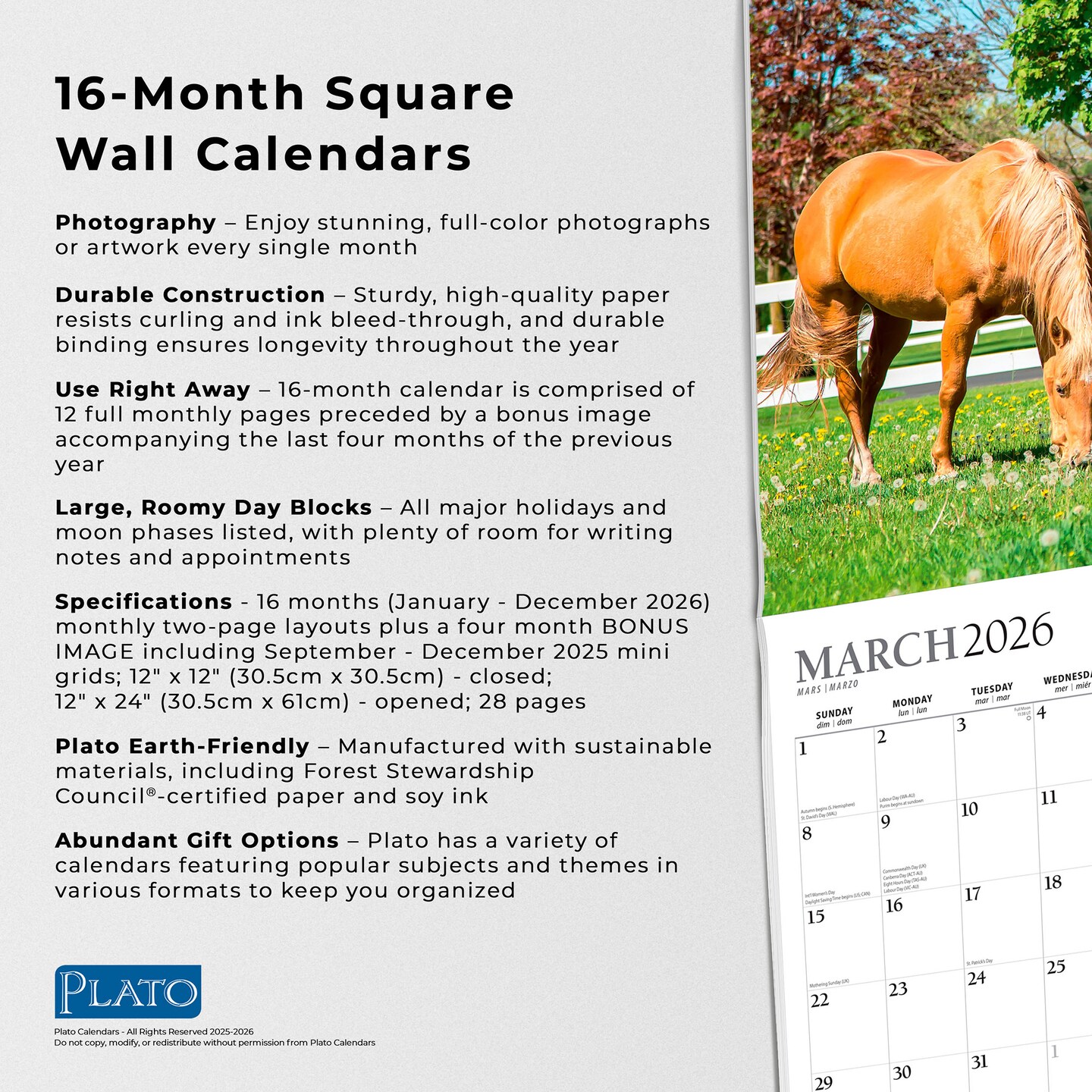 Magnificent Horses | 2026 12 x 24 Inch (Hanging) Monthly Square Wall Calendar | Foil Stamped Cover