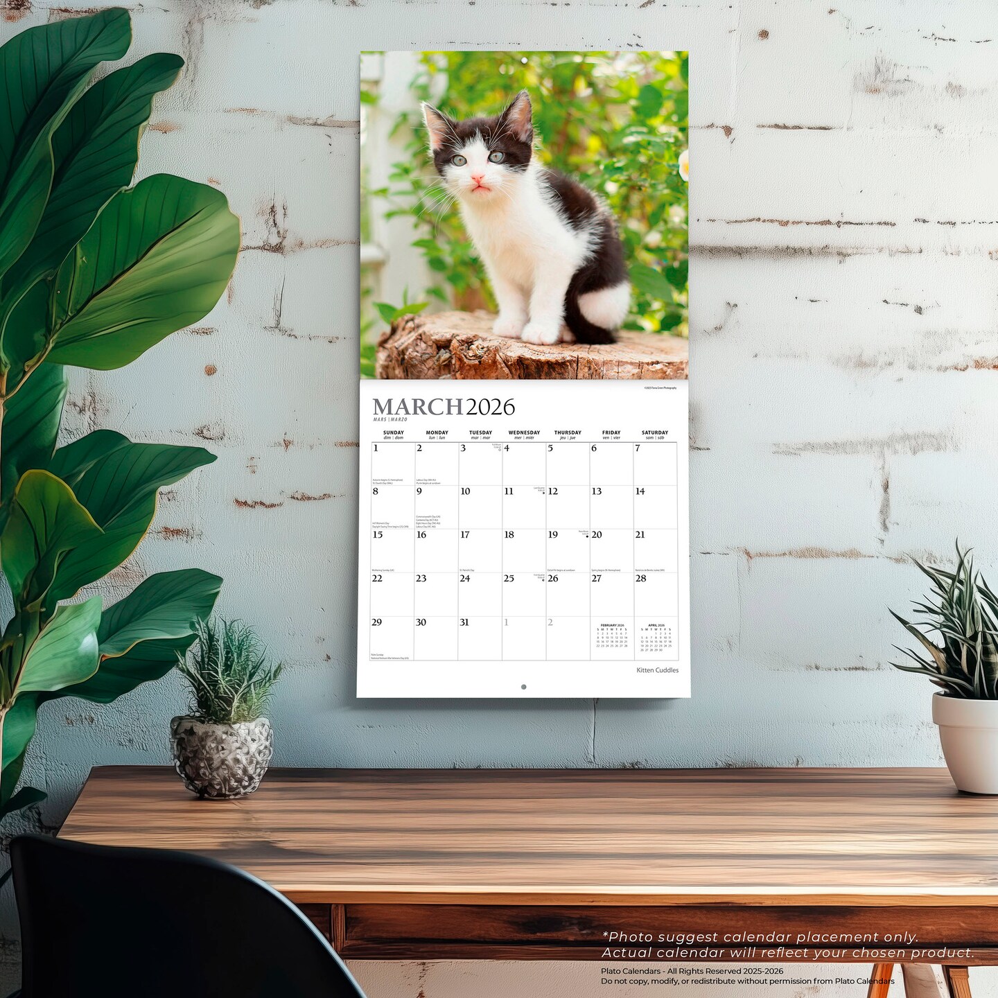 Kitten Cuddles | 2026 12 x 24 Inch (Hanging) Monthly Square Wall Calendar | Foil Stamped Cover