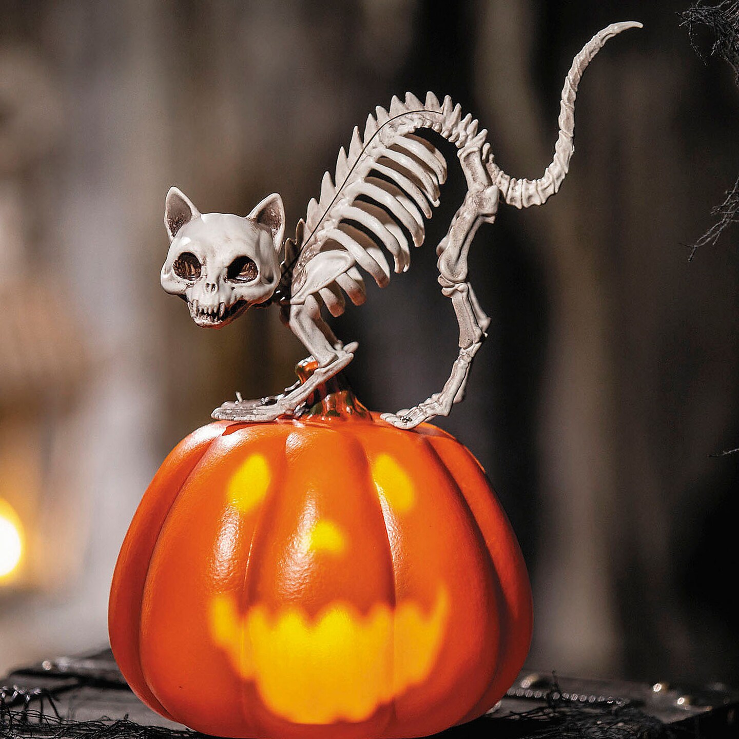 11 1/2 Animated Pumpkin with Skeleton Cat Tabletop Halloween Decoration