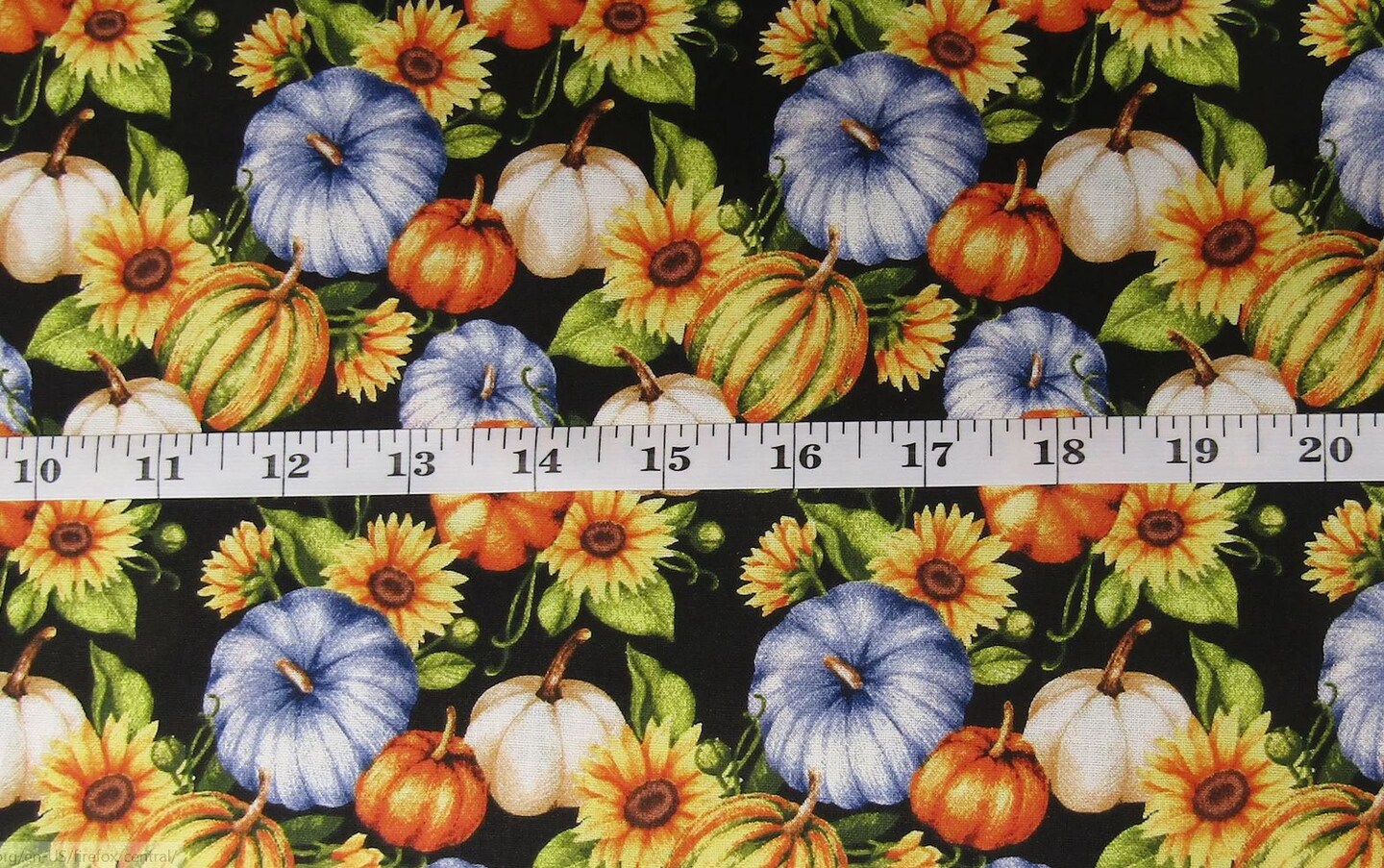 Fall Autumn Thanksgiving Pumpkins and Gourds on Black100% Cotton Fabric