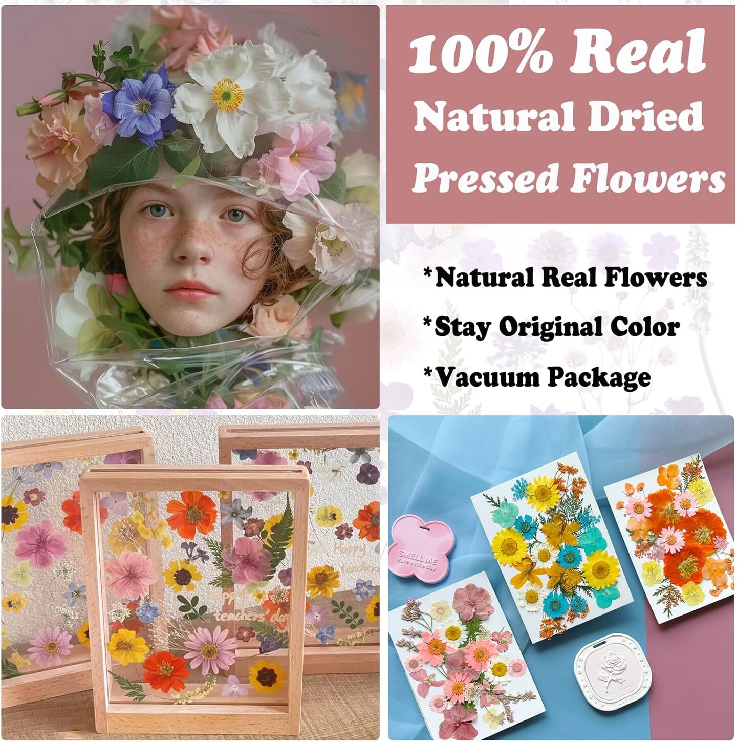 66Pcs Dried Pressed Flowers