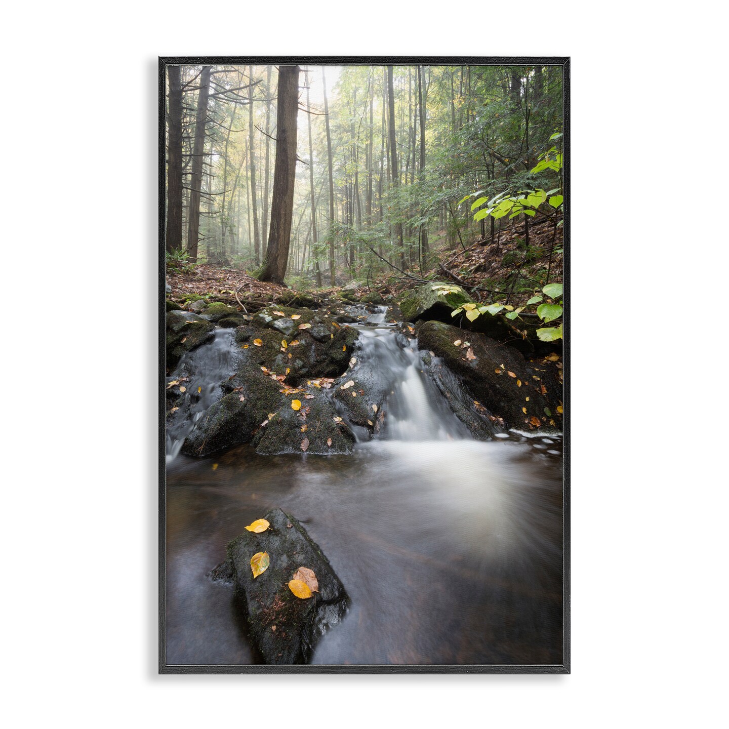 Stupell Industries Misty Stream Adirondacks Framed Giclee, design by James Rodewald