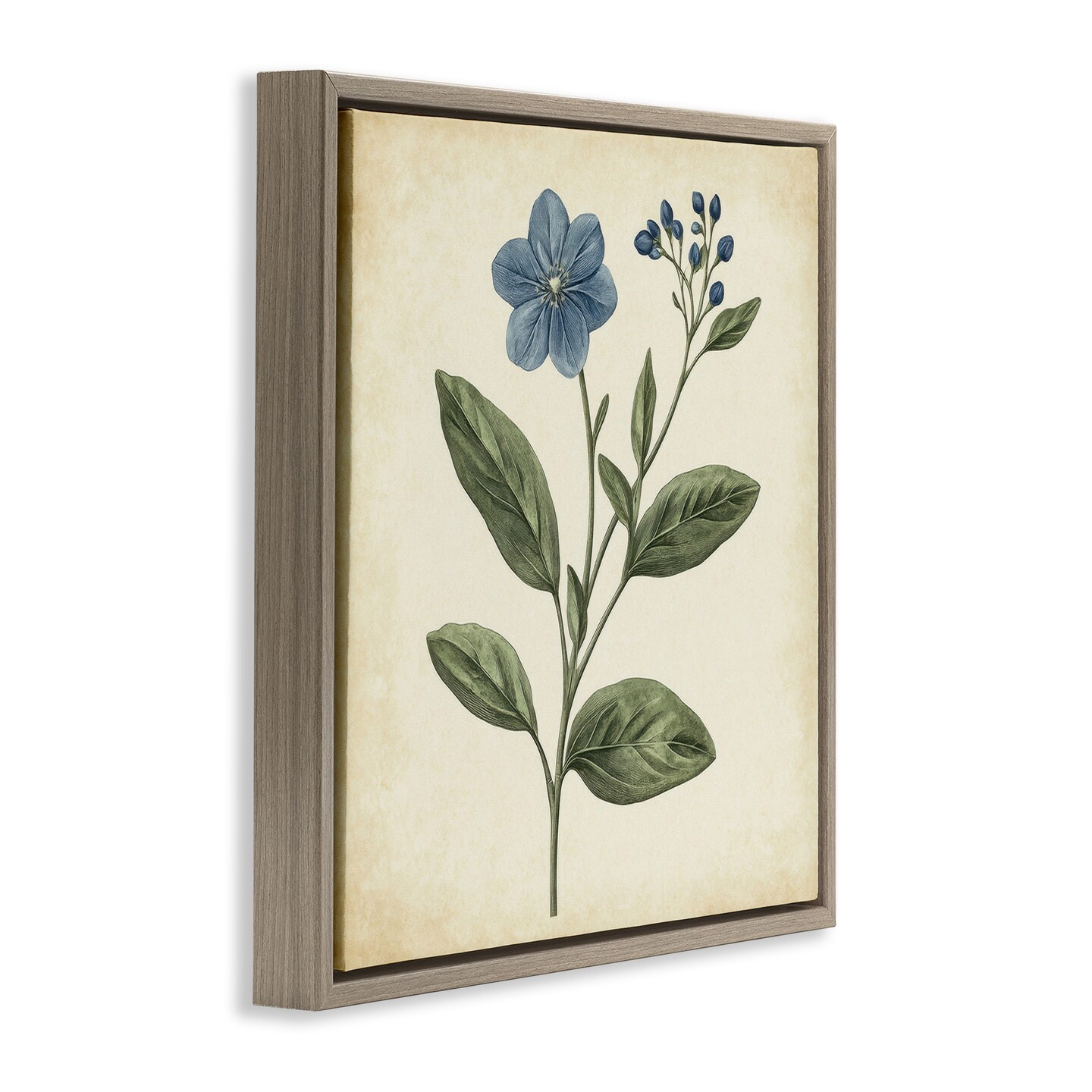 Stupell Industries Vintage Blue Blossoms Wildflower Floating Frame, design by Petal Prints Design