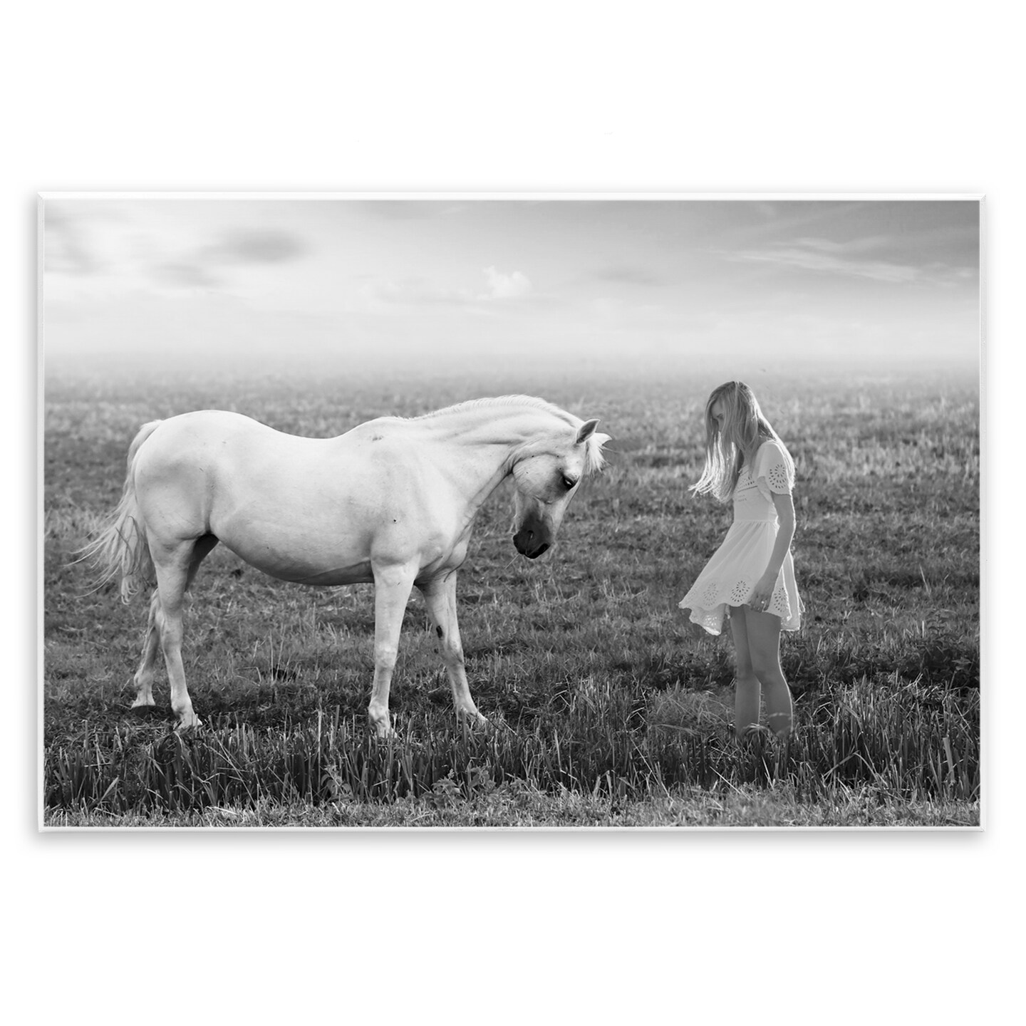 Stupell Industries Her White Horse Wall Plaque, design by Ata Alishahi