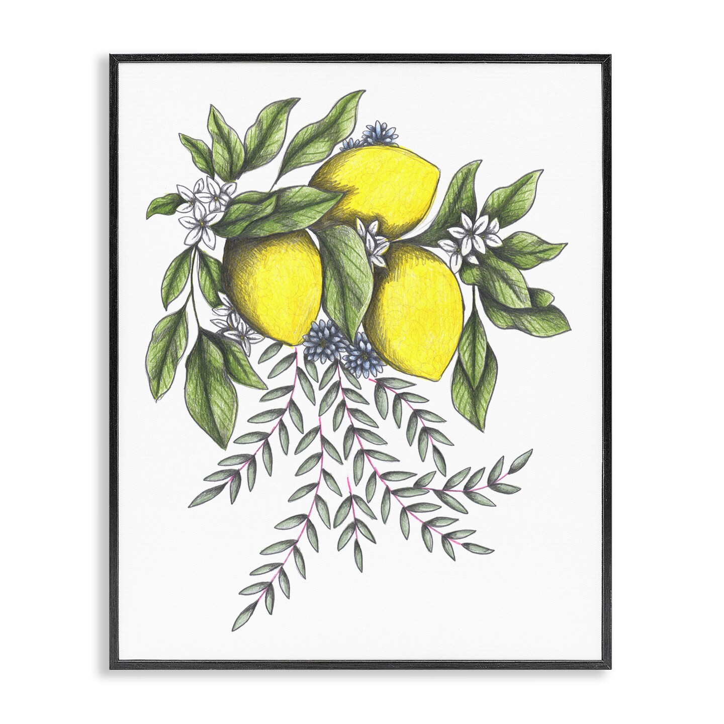 Stupell Industries Lemons & Flowers Vintage Sketch Framed Giclee, design by Cecilia Battaini