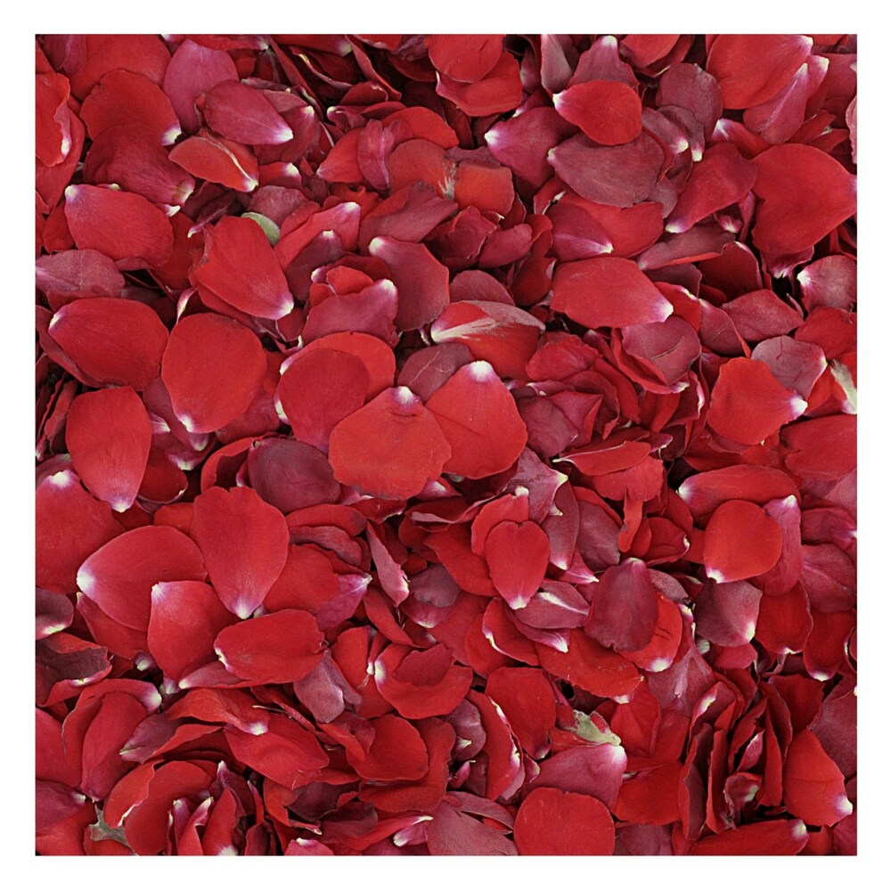 Red Eco-friendly Real Preserved Rose Petals 30 cups