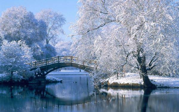 Winter Morning  - Premium Fragrance Oil