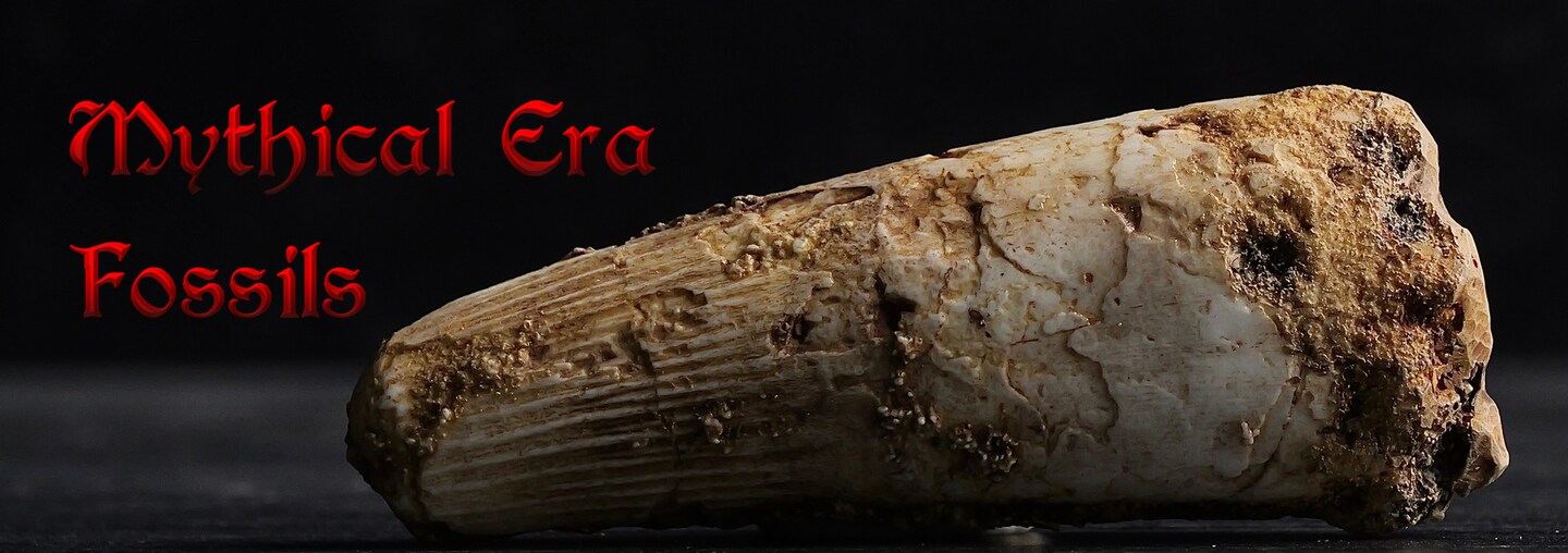 storefront banner