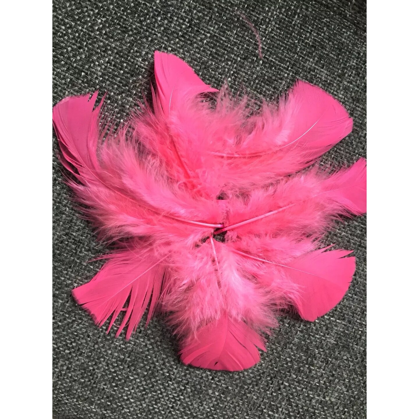 Kitcheniva 1 Ounce Bag Fluffy Bright Pink Marabou Feathers Costume Crafts