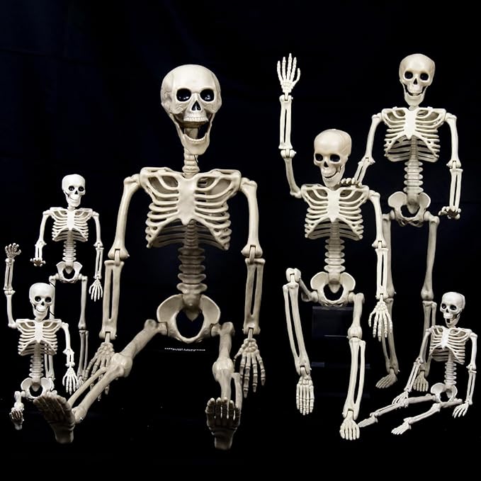 6 Pack(1×40"+2×24"+3×16") Pose-N-Stay Halloween Skeleton Life Size Full Body Posable Movable Jonints for Halloween Decoration Decor