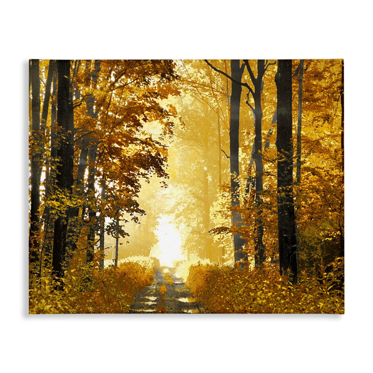 Autumn Path Landscape Canvas Art