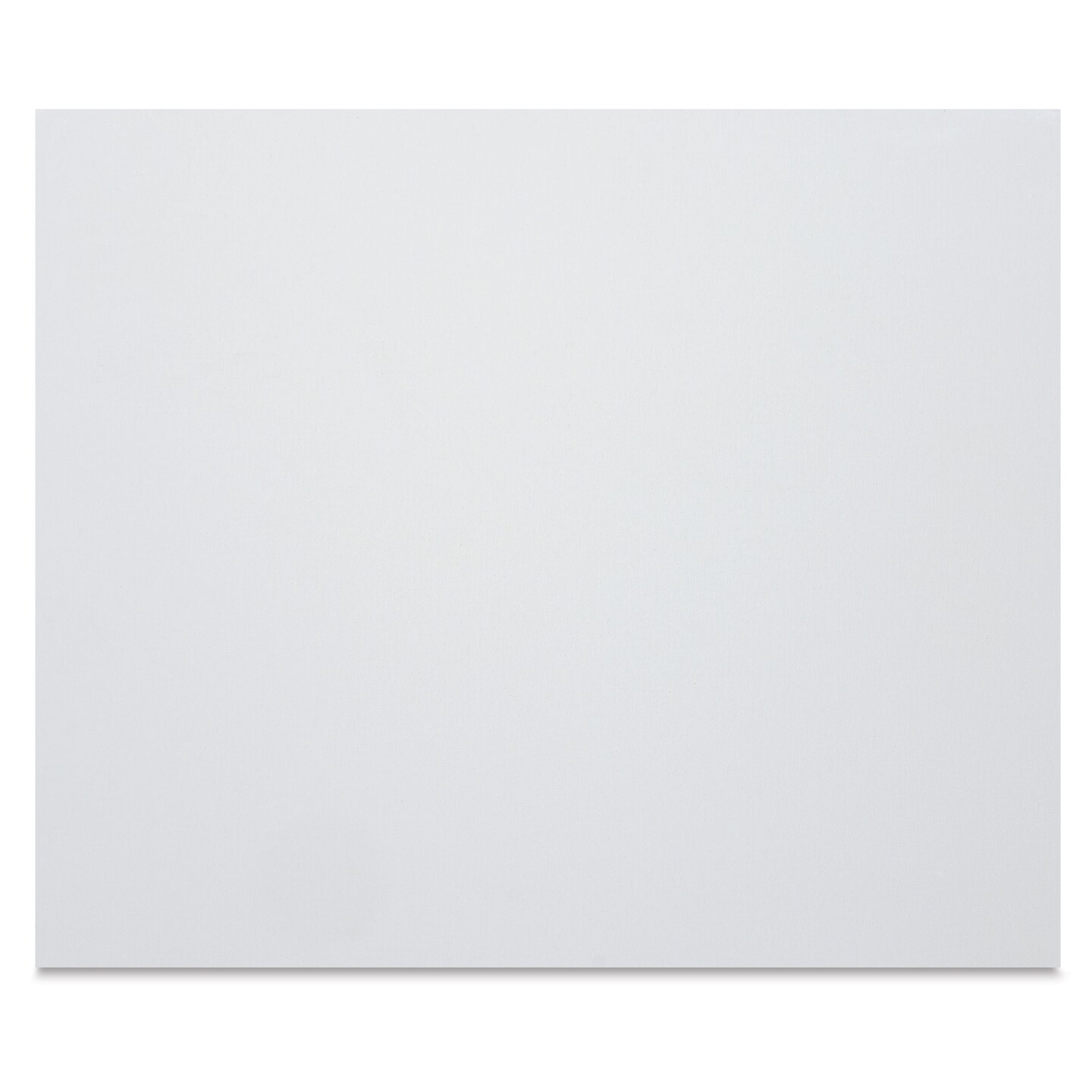 Winsor & Newton Professional Artists’ Canvas Board - 20" x 24"