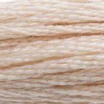 DMC Embroidery Floss, 6-Strand - Beige Brown Ultra Very Light #543