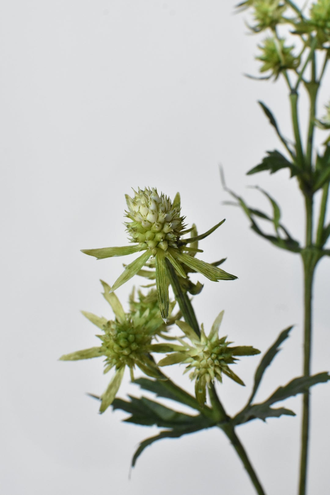 25&#x22; Faux Thistle Stem - Green