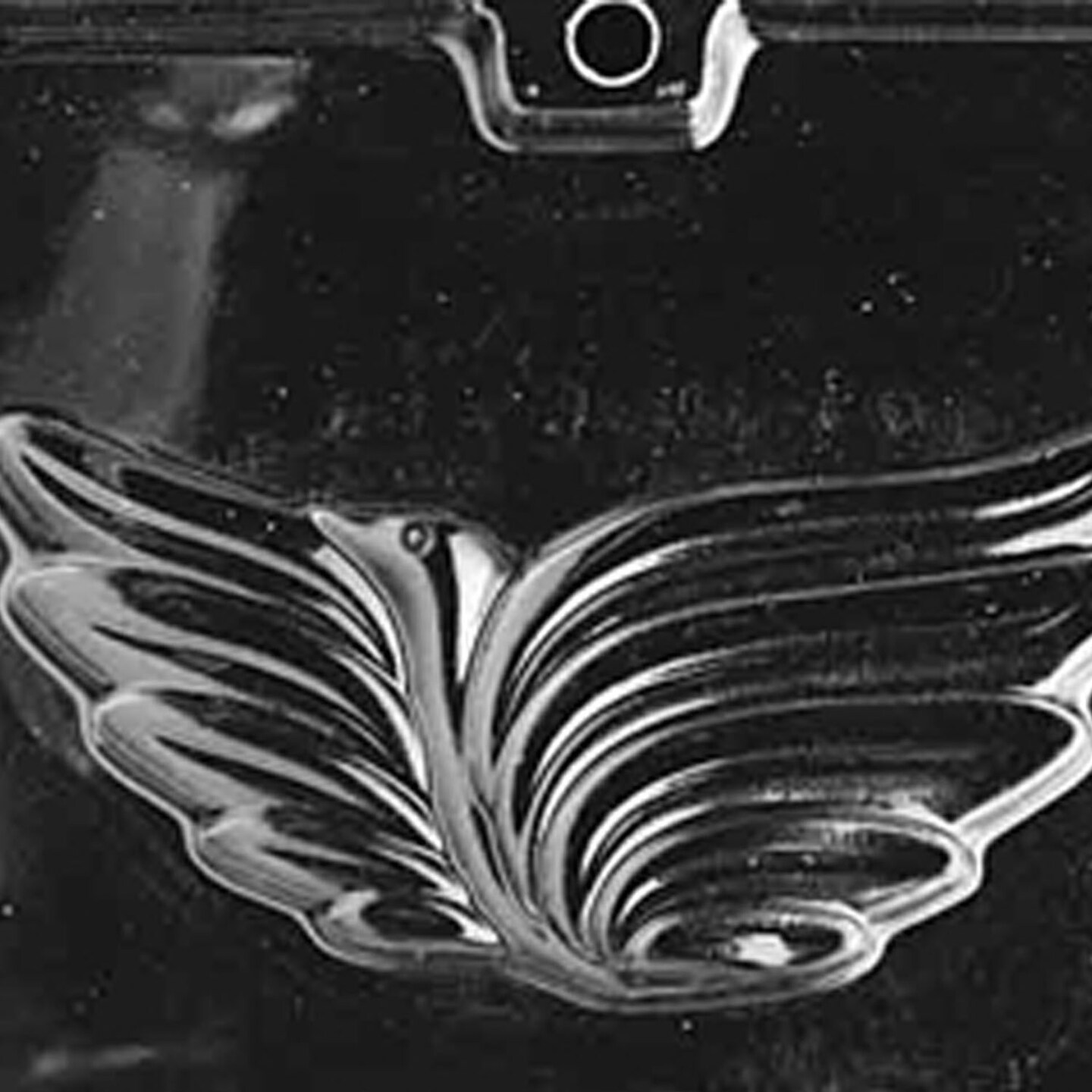 Bird in Flight Pour Box Chocolate Mold Elegant Wing Design for Beautiful Treats